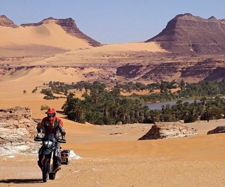 ABGESAGT - Joe Pichler - 19.10.2020  ABGESAGT - Joe Pichler - 19.10.2020