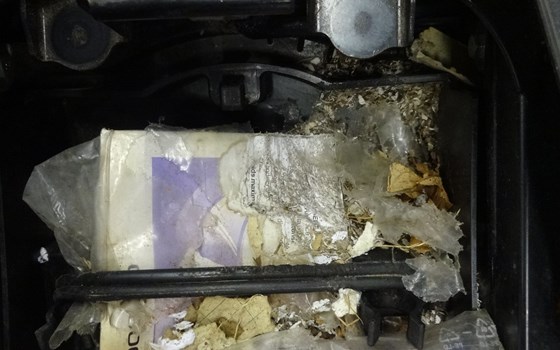 Da hat sich eine Maus im Motorrad verirrt - Bild 2 Da hat sich eine Maus im Motorrad verirrt - Bild 2