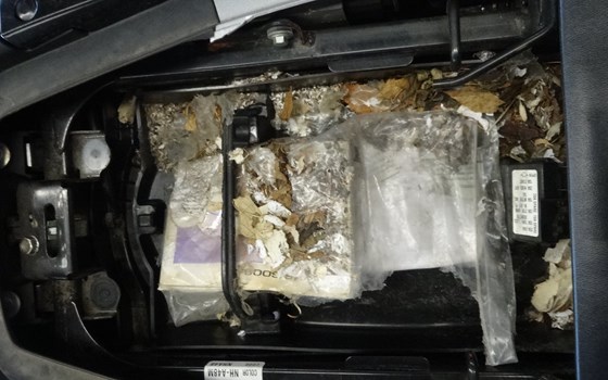 Da hat sich eine Maus im Motorrad verirrt - Bild 3 Da hat sich eine Maus im Motorrad verirrt - Bild 3