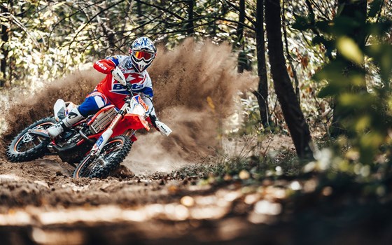 Beta Modelle 2021 - Bild 3