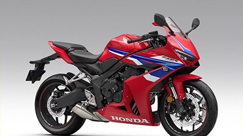 Sofort Lieferbar / kurzfristig Verfügbar 2025/2026