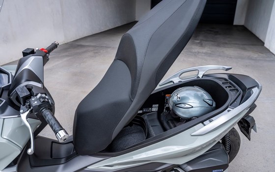 HONDA FORZA 350 MODELL 2021 !!! - Bild 3