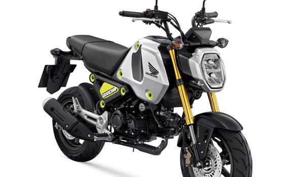 Neue Honda MSX125 Grom 2021 - Bild 2 Neue Honda MSX125 Grom 2021 - Bild 2