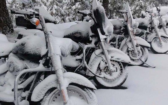 UNSERE WINTER-Check AKTION 2023 - für KAWASAKI & DUCATI  - Bild 5