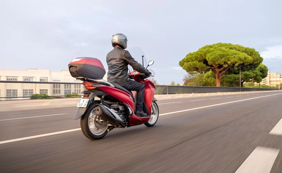 HONDA SEMMLER - 2021er SH350i ! NEU !  Bild 23: HONDA SEMMLER - 2021er SH350i ! NEU !