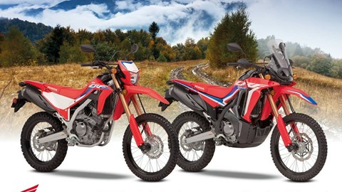 HONDA CRF300 Modelljahr 2021