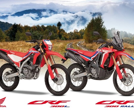 HONDA CRF300 Modelljahr 2021