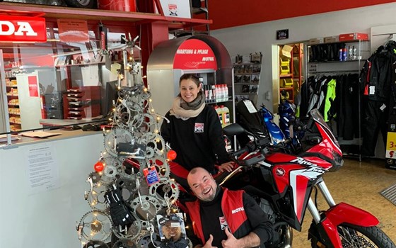 Unser Weihnachtsbaum ist aufgebaut :-) - Bild 1