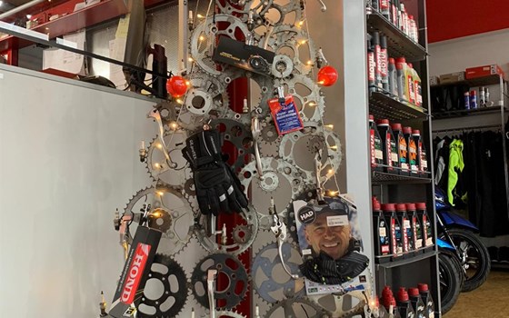 Unser Weihnachtsbaum ist aufgebaut :-) - Bild 2