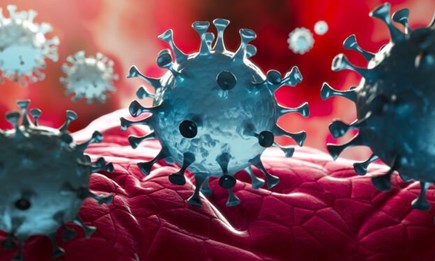 Corona Update: Wir haben geöffnet!