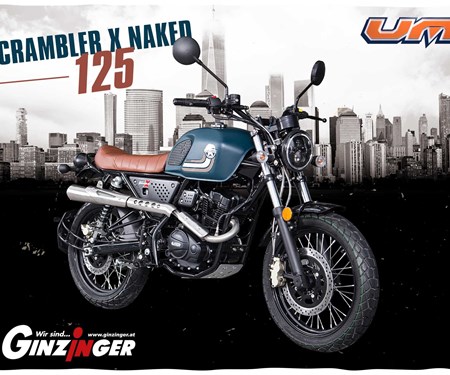  Renegade Scrambler X Naked 125 bei Ginzinger