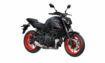 Ein kleiner Vorgeschmack auf das kommende Jahr!