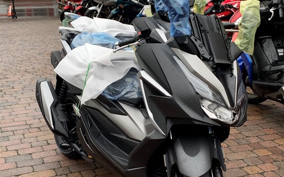 Wie haben eine neue Lieferung mit vielen neuen 2021 er Modellen bekommen - Bild 4