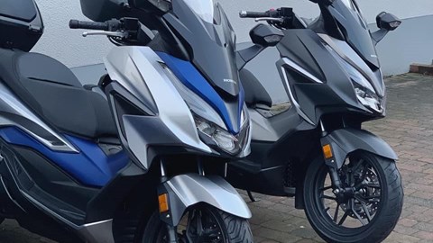 Honda Forza 125 und 350 Modell 2021