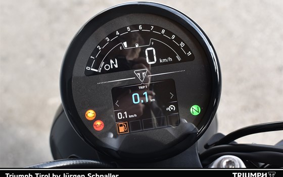 Triumph Trident 660 - Bild 4