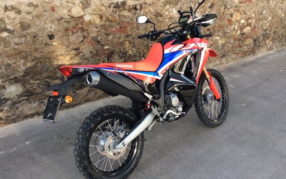 Honda CRF300L Rally - Bild 1 Honda CRF300L Rally - Bild 1