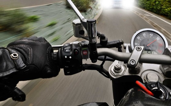 dguard® - ein gutes Gefühl - Bild 1