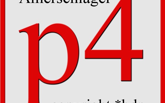 Adapterkit für Auspuff Gts300 Euro3/4 auf Gts300 Euro5 HPE - Bild 4