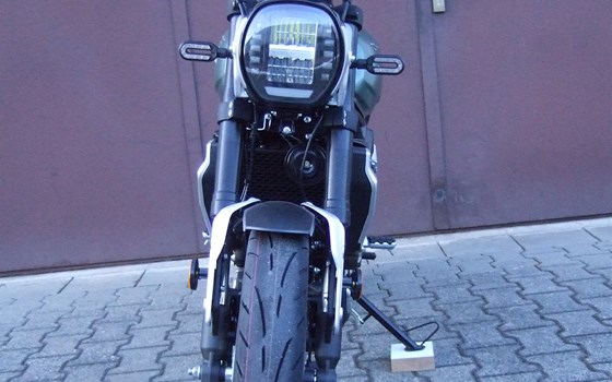 Ein neues Familienmitglieder ist da... ;-) , und weiter werden demnächst folgen! - Bild 3