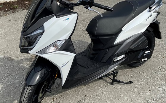 Euro 5 Jet 14+ 125 Sportroller von SYM  - Bild 7