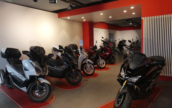 Umbau Honda-Show-Room  - Bild 5