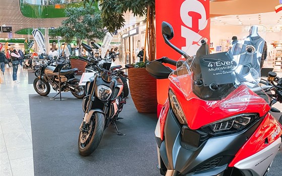 Die neue Monster ist im Haus! Unsere Modelle sind im Salzburger Europark ausgestellt! - Bild 2