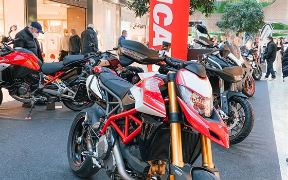 Die neue Monster ist im Haus! Unsere Modelle sind im Salzburger Europark ausgestellt! - Bild 3