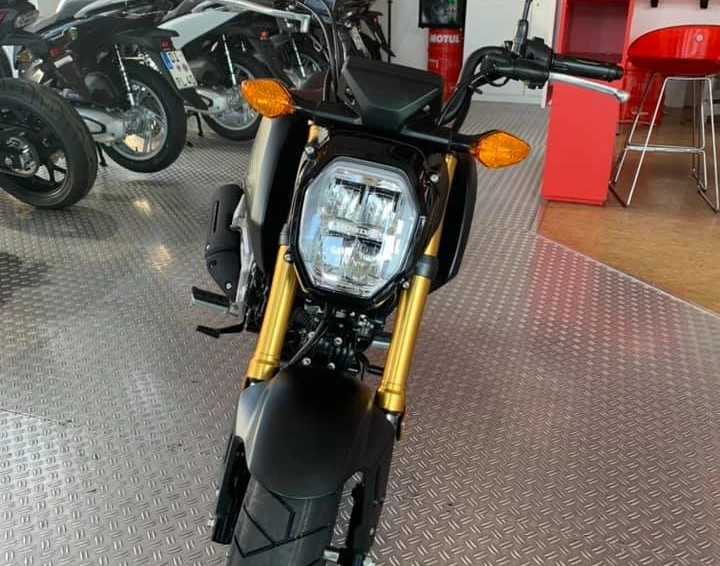 Honda MSX 125 Grom Modell 2021 Bild 6: Honda MSX 125 Grom Modell 2021