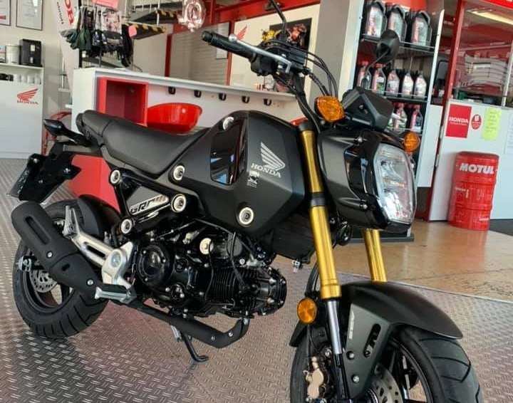 Honda MSX 125 Grom Modell 2021 Bild 1: Honda MSX 125 Grom Modell 2021