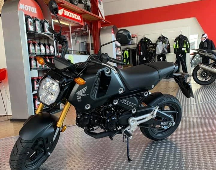 Honda MSX 125 Grom Modell 2021 Bild 2: Honda MSX 125 Grom Modell 2021