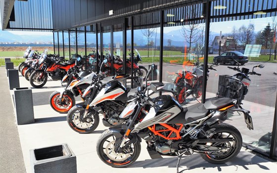 Demobikes von KTM Walzer - Bild 3