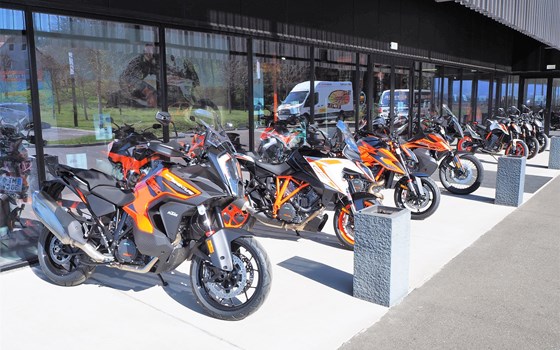Demobikes von KTM Walzer - Bild 4