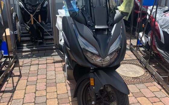 Neue Lieferung! Mit dabei der Honda SH 125 Mode - Bild 6 Neue Lieferung! Mit dabei der Honda SH 125 Mode - Bild 6