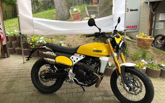 Fantic Caballero 500 Scrambler in der wunderschönen Sommerfarbe gelb! - Bild 9