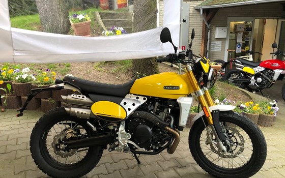 Fantic Caballero 500 Scrambler in der wunderschönen Sommerfarbe gelb! - Bild 3