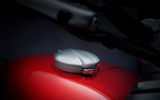 EVOLUTION IN JEDER DIMENSION - Bild 5