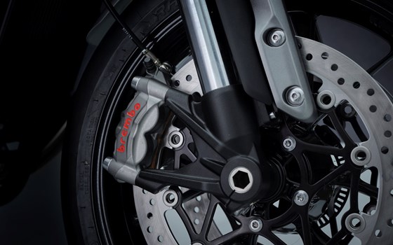 EVOLUTION IN JEDER DIMENSION - Bild 14