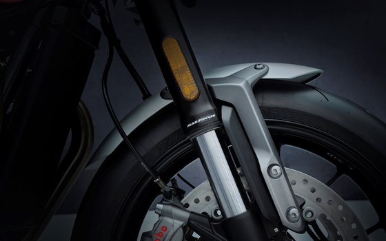 EVOLUTION IN JEDER DIMENSION - Bild 15