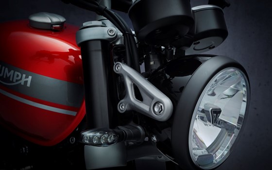 EVOLUTION IN JEDER DIMENSION - Bild 16