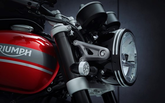 EVOLUTION IN JEDER DIMENSION - Bild 17