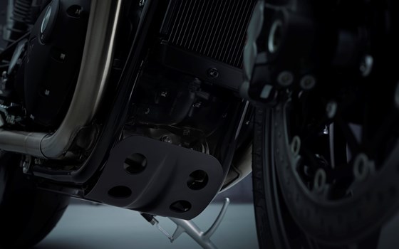 EVOLUTION IN JEDER DIMENSION - Bild 9