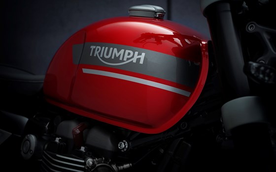 EVOLUTION IN JEDER DIMENSION - Bild 10