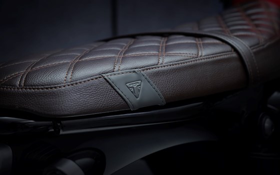 EVOLUTION IN JEDER DIMENSION - Bild 11