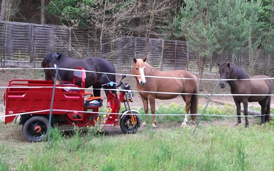 Cargorunner - Bild 3