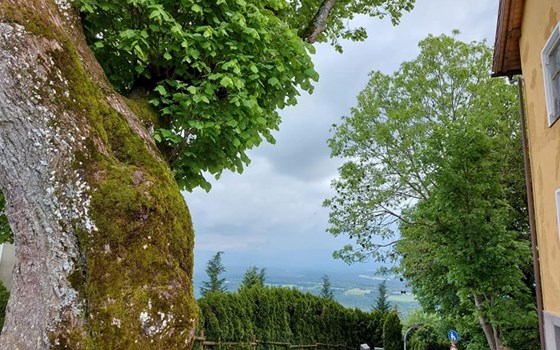 Alpentour Hoher Peißenberg und Großer Ahornboden - Bild 13