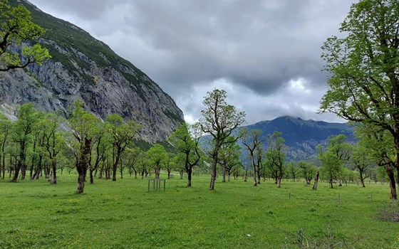Alpentour Hoher Peißenberg und Großer Ahornboden - Bild 19