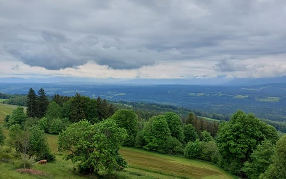 Alpentour Hoher Peißenberg und Großer Ahornboden - Bild 3