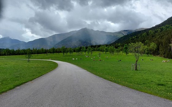Alpentour Hoher Peißenberg und Großer Ahornboden - Bild 9