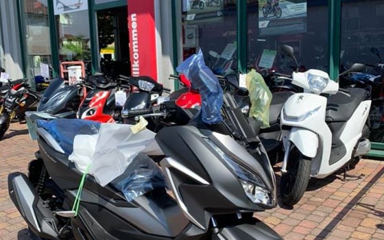 Neue Lieferung !!! - Bild 3