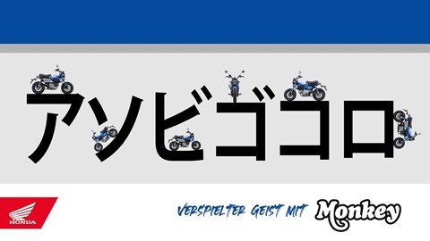 Honda Semmler - NEUE MONKEY 125 2022er Modell